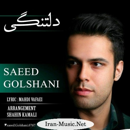 دانلود آهنگ دلتنگی از سعید گلشنی